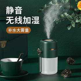 【高颜值小夜灯加湿器】迷你加湿器 照明加湿两用神器 纳米雾化无噪音 两档调节 空气喷雾加湿 还能当小夜灯