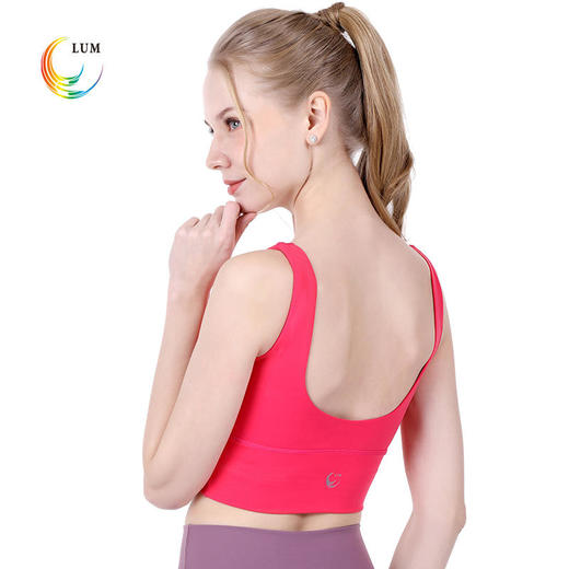 LUM19103露檬热销专业瑜伽运动小背心BRA 商品图2