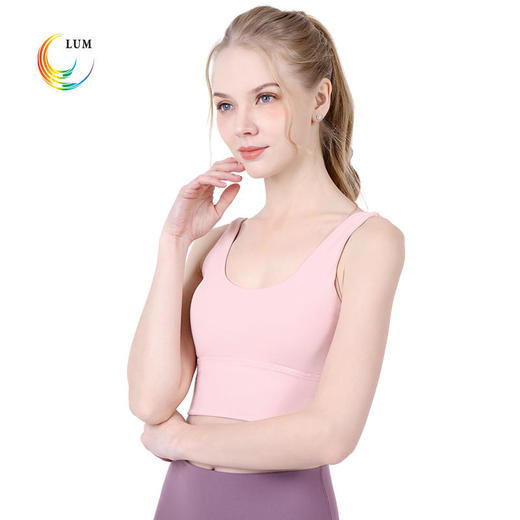 LUM19103露檬热销专业瑜伽运动小背心BRA 商品图0