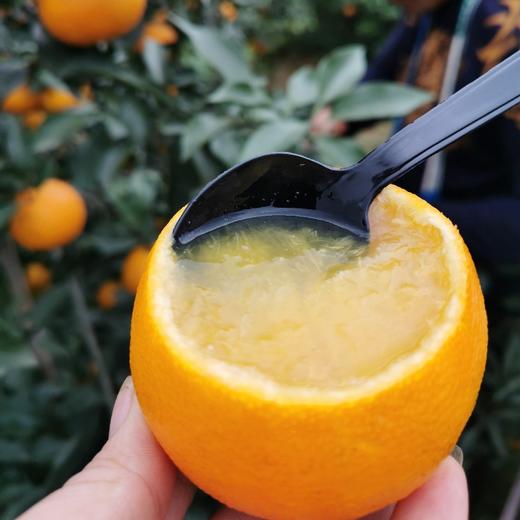老树高山果品质爱媛38号果冻橙 5斤/8斤装  （8甜2酸） 商品图13