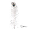 永生花材 | 孔雀尾 商品缩略图0