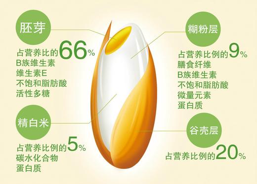 有机种植富硒珍珠胚芽米，营养价值极其丰富元 商品图4