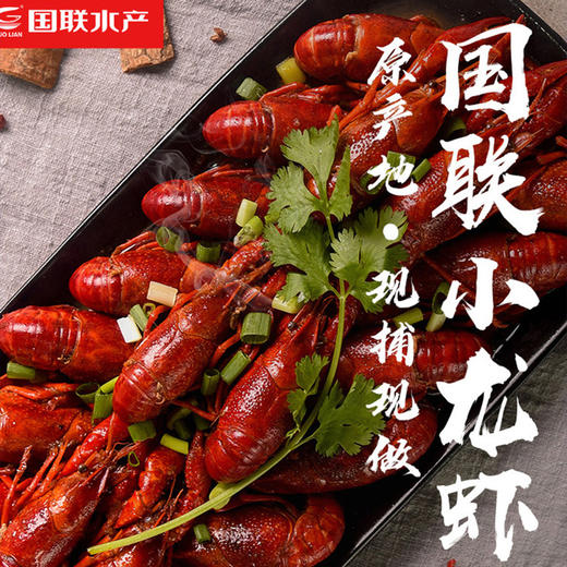 国联水产龙霸麻辣小龙虾750g/盒（1份2盒） 商品图1