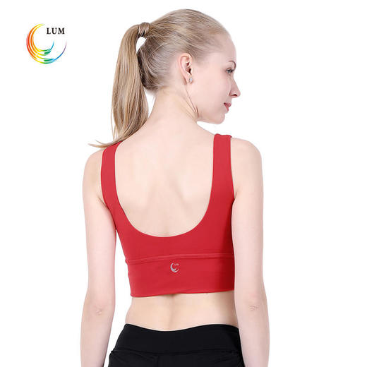 LUM19103露檬热销专业瑜伽运动小背心BRA 商品图5