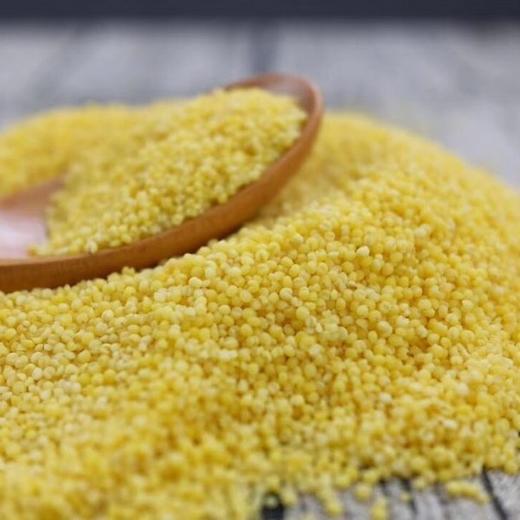 沂蒙山新黄小米 软糯香醇 粒粒分明 五斤装 商品图1