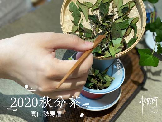 2020秋分茶（首款秋分散茶），风清露冷，朝花夕拾（1斤收藏装） 商品图6