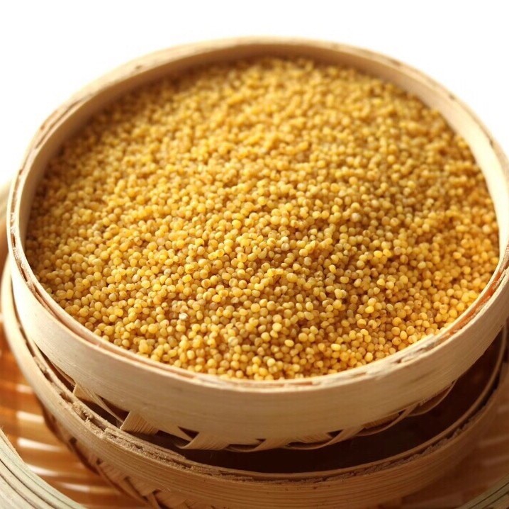 沂蒙山新黄小米 软糯香醇 粒粒分明 五斤装