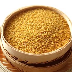 沂蒙山新黄小米 软糯香醇 粒粒分明 五斤装