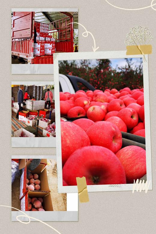 小红果 商品图4