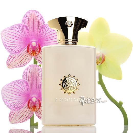 爱慕 荣耀化蝶男士香水 Amouage Honour Man  小样/正装 商品图0