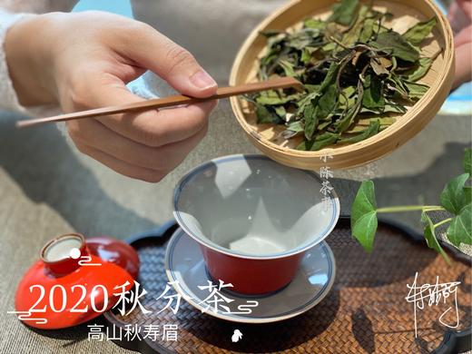 2020秋分茶（首款秋分散茶），风清露冷，朝花夕拾（1斤收藏装） 商品图5