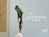2020秋分茶（首款秋分散茶），风清露冷，朝花夕拾（1斤收藏装） 商品缩略图4