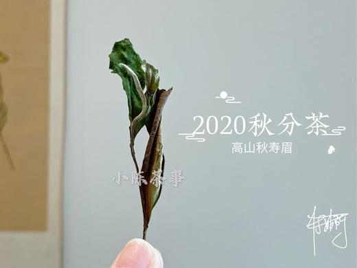 2020秋分茶（首款秋分散茶），风清露冷，朝花夕拾（1斤收藏装） 商品图4