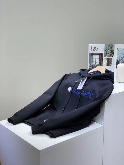 点此购买 迪桑特男款空气层休闲连帽卫衣 左162539