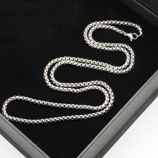 钛钢龙骨项链男潮蛇骨链情侣链子配饰简约百搭颈链挂件男士锁骨链 商品图4