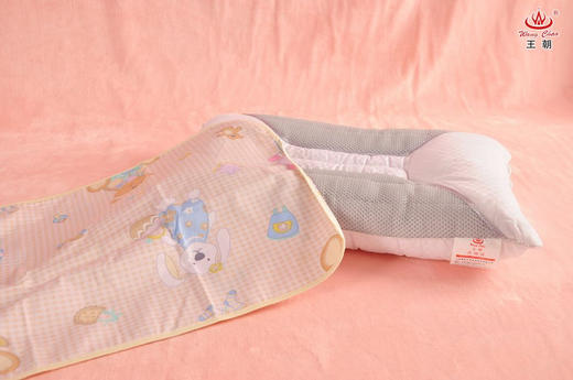 王朝二子网决明子枕芯 商品图0