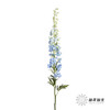肯尼亚大飞燕 | 浅蓝 DELPHINIUM BOY 商品缩略图5