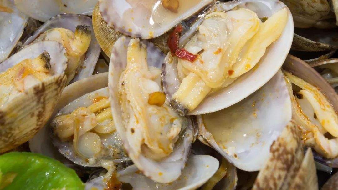 鲁海  冷冻蛤蜊肉LL 900g/袋