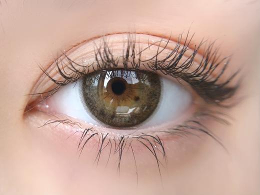 hymora x abucon RIKA HAZEL梨香褐14.5 大直径 含硅水凝胶 年抛 自然宽 商品图1