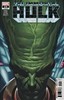 浩克 绿巨人 主刊 Immortal Hulk 001-040（2018）普封 商品缩略图7