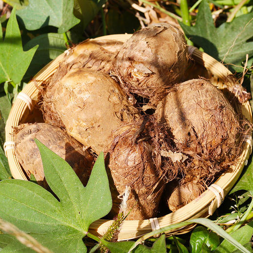 [最农公社]精品中球大球|山东奶油拉丝小芋头3斤/4.5斤中果大果香滑黏糯 商品图3