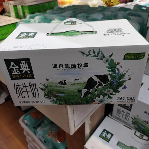 金典纯牛奶 商品图0