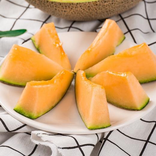 【今日必入】脆甜蜜瓜 脆甜可口,新鲜多汁 037