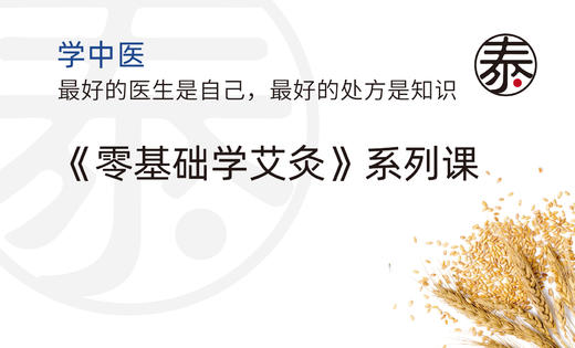 第3讲：学会辨识好的艾绒和艾条 商品图0