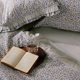 床上用品轻奢单人碎花保暖秋冬纯棉床单被罩