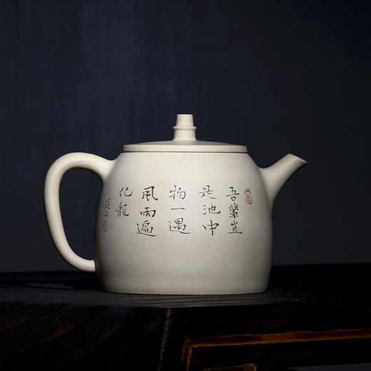 舒得玻（泛舟） 壶 商品图1