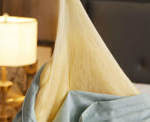 限量仅8斤规格有货【黄金蚕丝被】-CSYP 商品图7