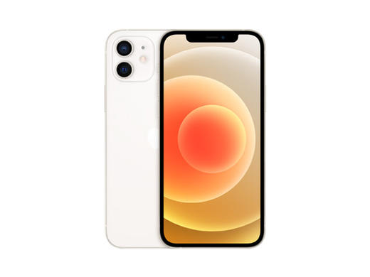 国行苹果12 5G全网通 （6.1英寸）系列 商品图0