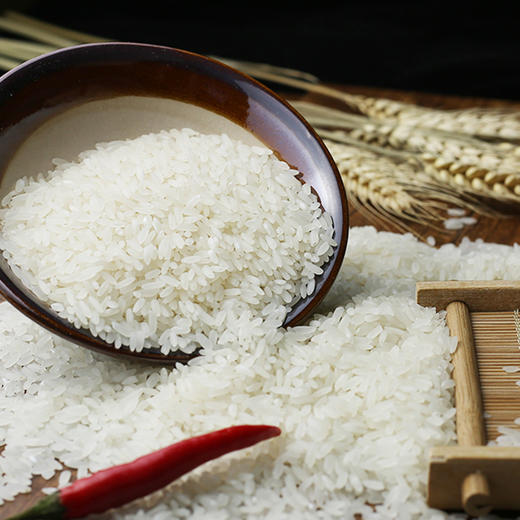 盛禧农庄 方正富硒大米 5kg/袋 商品图1