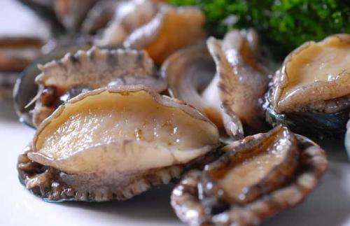 鲁海   活冻鲍鱼8头 商品图1