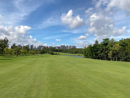 广东江门五邑蒲葵高尔夫球会 商品图2