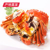 【囍从蟹来】现货阳澄湖大闸蟹 活蟹 全国包邮产地直发  商品缩略图0