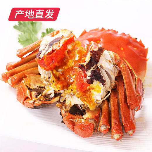 【囍从蟹来】现货阳澄湖大闸蟹 活蟹 全国包邮产地直发  商品图0