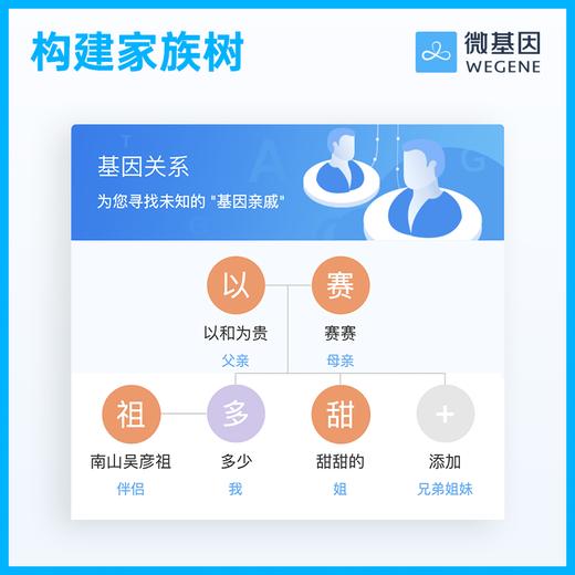 【11年标杆·经典标准版】微基因标准版基因检测 商品图4