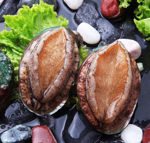 鲁海活冻鲍鱼6头