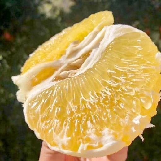福建青皮葡萄柚    4.5-5斤 /   8-8.5斤装 商品图8