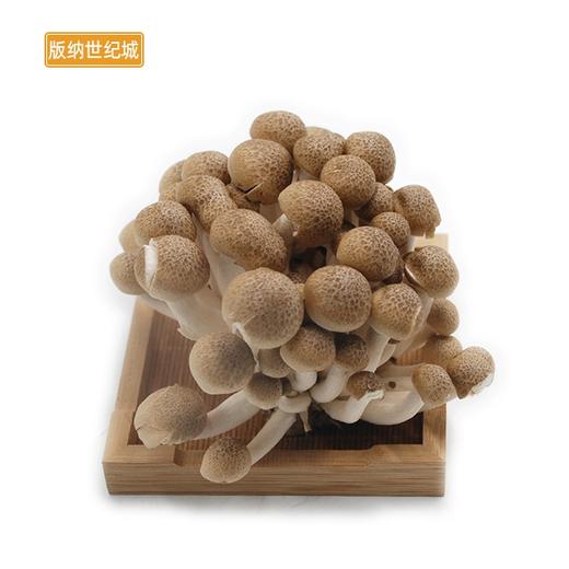 bn蟹味菇约250g份