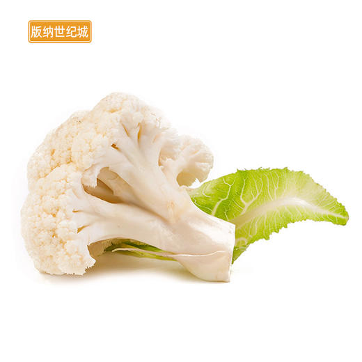 bn精品白花菜约500g份