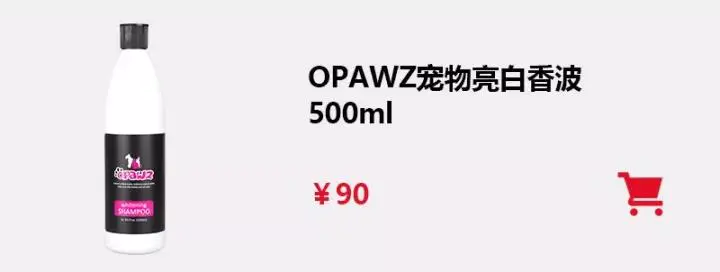 OPAWZ视频课程持久染色立体造型-赵蒙蒙- OPAWZ小爪印