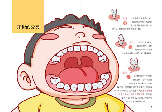 《邓辉奶奶讲给孩子的第一本护牙书》 商品图1