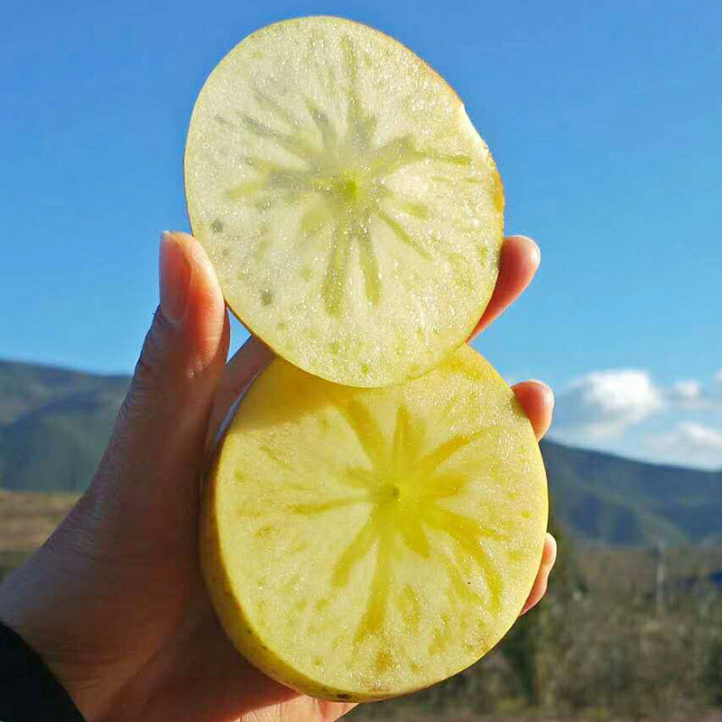 【脆甜】 大凉山丑苹果  我很丑但我很美味  多规格装 现摘现发