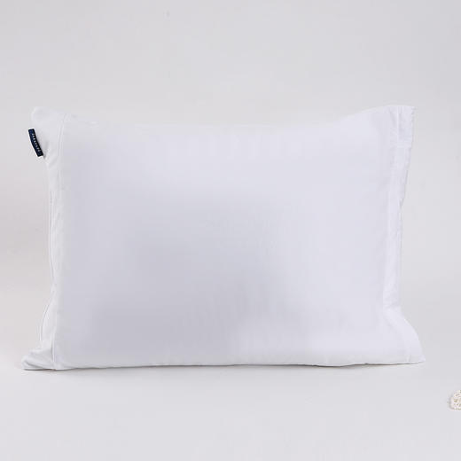 维美家纺天丝针织防水枕套防水隔离螨虫居家枕头保护套2只装 商品图0