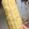 【阿苞哥】甜糯玉米团购价50 商品缩略图2