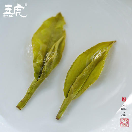 茶叶 绿茶西湖韵 龙井绿茶  明前龙井绿茶 茶饮 五虎 200g 商品图2