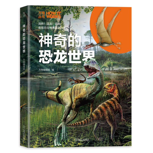 *十一套装 爱不释手的青少年科普书 共6册 不可思议的地球 神奇的恐龙世界 未来世界之旅 解锁空中飞行器 原来如此 探索奇妙科技 商品图1