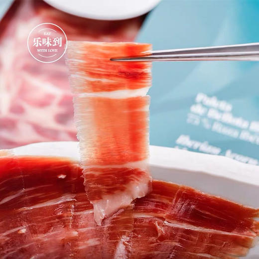 西班牙伊比利亚 卡斯特罗火腿42个月风干黑猪后腿手工切片 100g*2份 商品图0